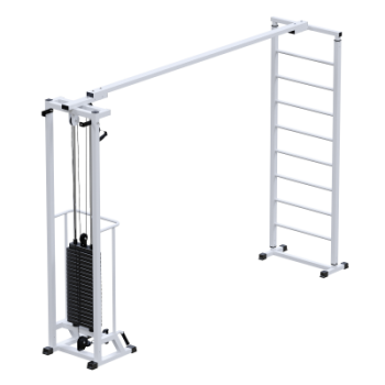 Профессиональный тренажер Биотонус + шведская стенка стек 60 кг Sabirgym SG087.1*2200*60 black step - V-SPORT Тренажеры УЗСИ ARMSSPORT