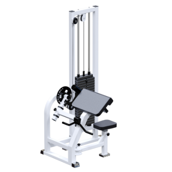 Бицепс-машина для инвалидов-колясочников Sabirgym SGINVAR057 Тренажер для реабилитации - V-SPORT Тренажеры УЗСИ ARMSSPORT