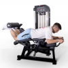   /   Protrain CP137     - V-SPORT   ARMSSPORT