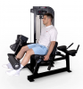   /   Protrain CP137     - V-SPORT   ARMSSPORT