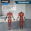 P-8A PROF ���������������� �������� Fitex Pro PREMIER-8A PROF ����� - V-SPORT ��������� ���� ARMSSPORT