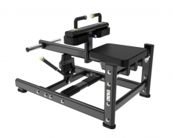      Protrain LFP123      - V-SPORT   ARMSSPORT
