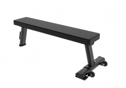    Protrain LFP134   - V-SPORT   ARMSSPORT