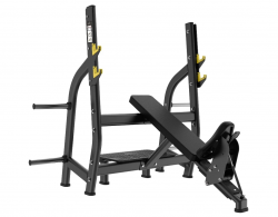     Protrain LFP142      - V-SPORT   ARMSSPORT