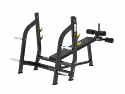        Protrain LFP173     swat - V-SPORT   ARMSSPORT
