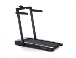    OXYGEN FITNESS SCANDIUM B - V-SPORT   ARMSSPORT