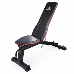 ������ ��� ���� DFC CRYSTAL SJ804 �� 300 �� ��� ���� ����� - V-SPORT ��������� ���� ARMSSPORT