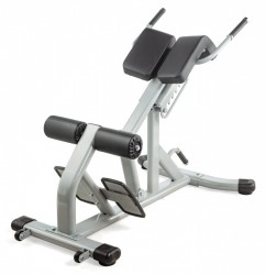  /   VictoryFit VF-A5006      - V-SPORT   ARMSSPORT